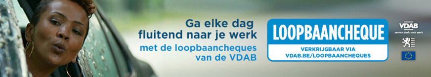 Loopbaancheques van de VDAB